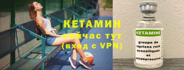 хмурый Белокуриха