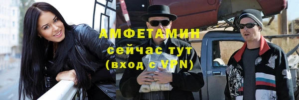 хмурый Белокуриха