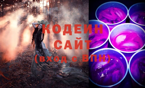 хмурый Белокуриха