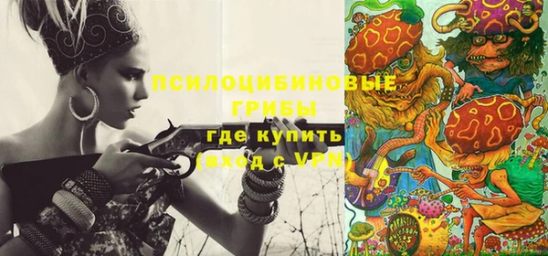 хмурый Белокуриха