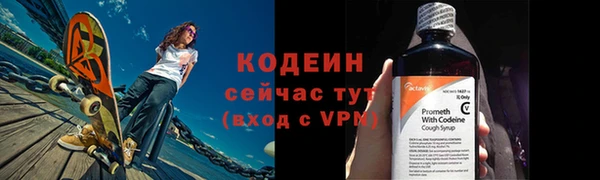 хмурый Белокуриха