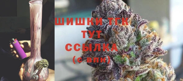 хмурый Белокуриха