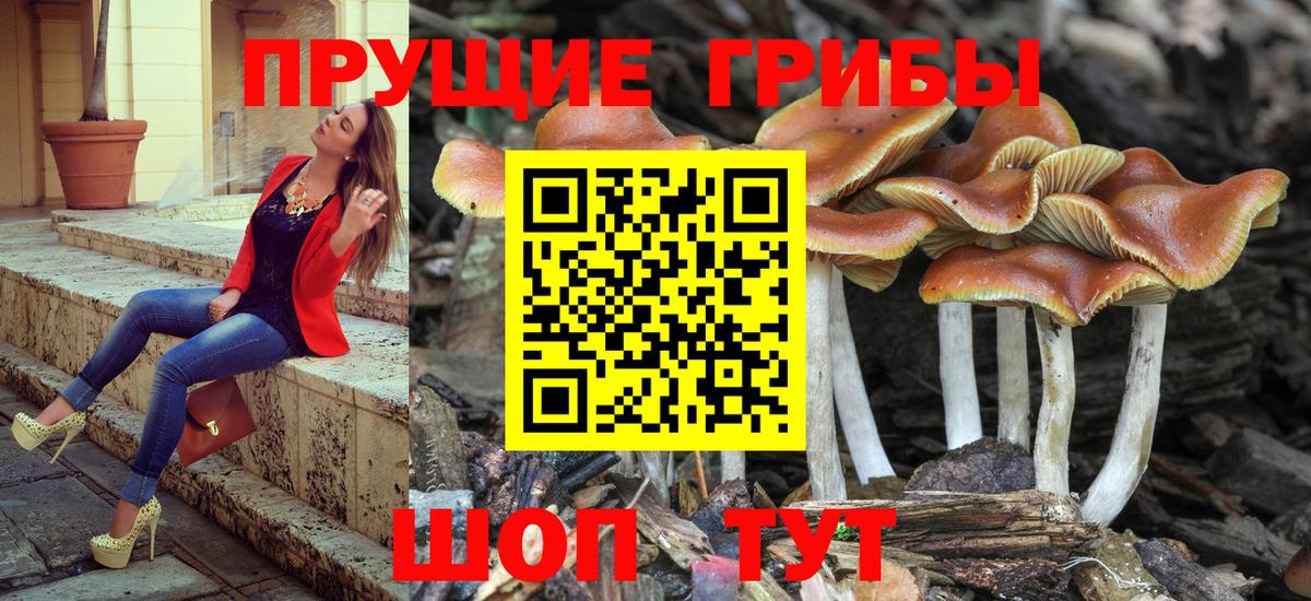 Гашиш Маркс