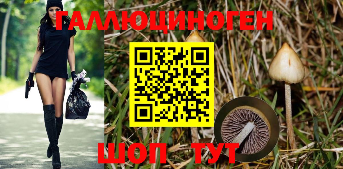 Маркс  Галлюциногенные грибы MAGIC MUSHROOMS  купить закладку  Вход с VPN 