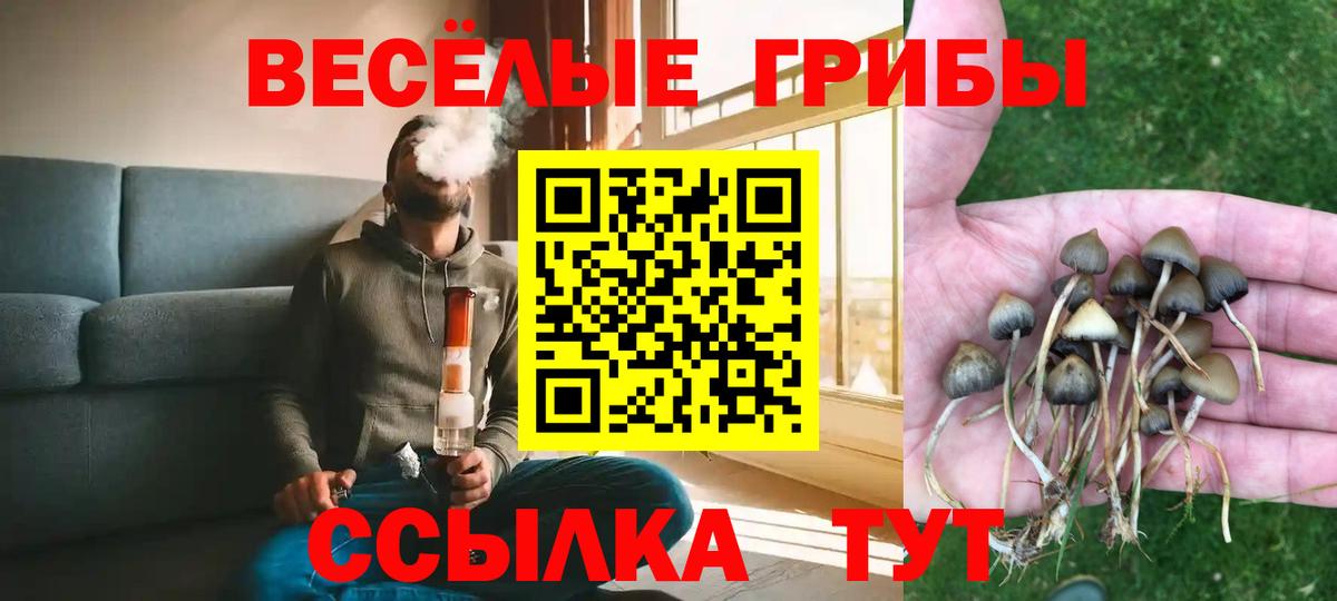 Галлюциногенные грибы ЛСД Маркс